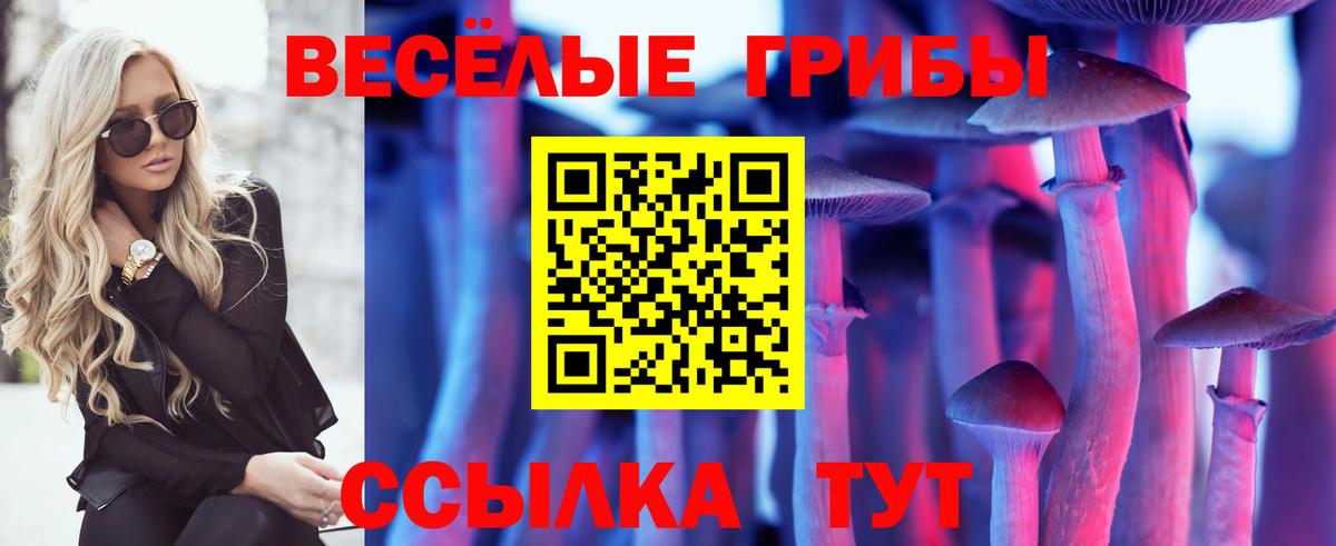 Галлюциногенные грибы Psilocybe  Вход с VPN  закладки  Лесосибирск  Галлюциногенные грибы Psilocybine cubensis 